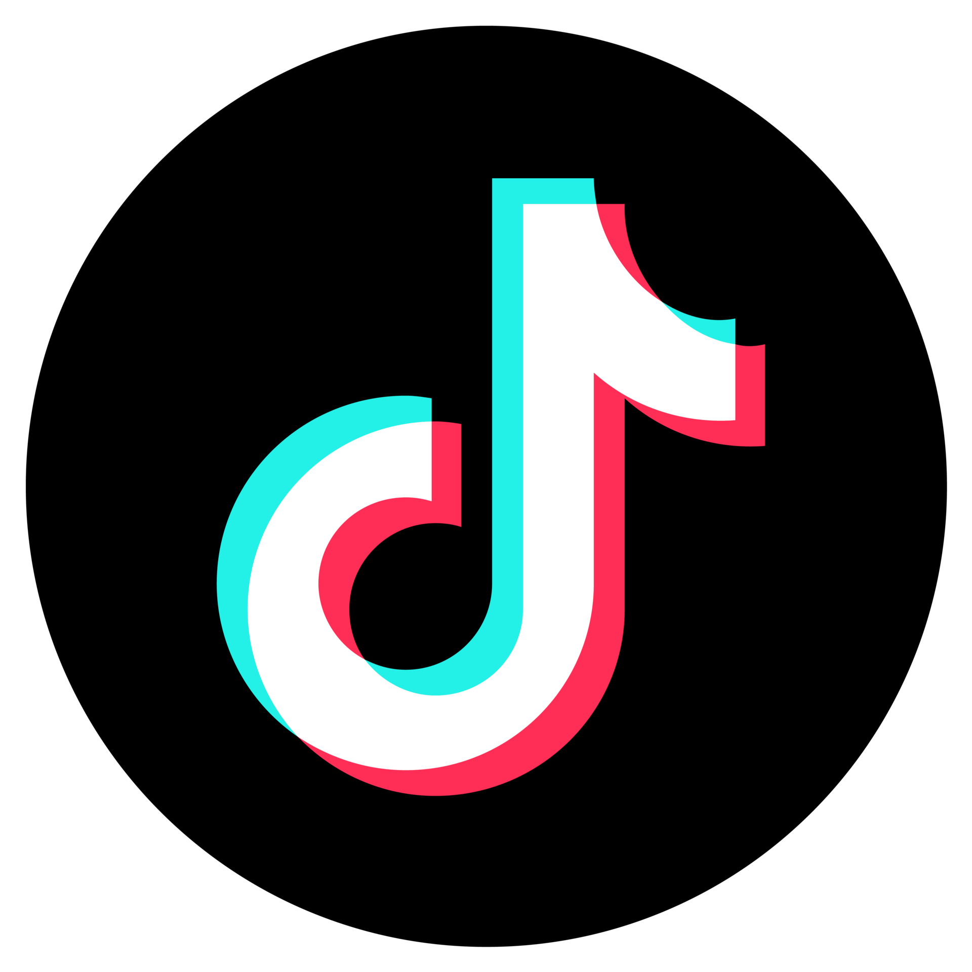 TikTok disc