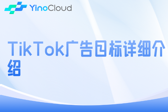TikTok广告目标详细介绍