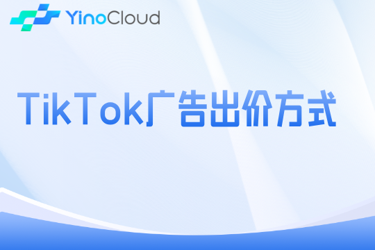 TikTok广告出价方式