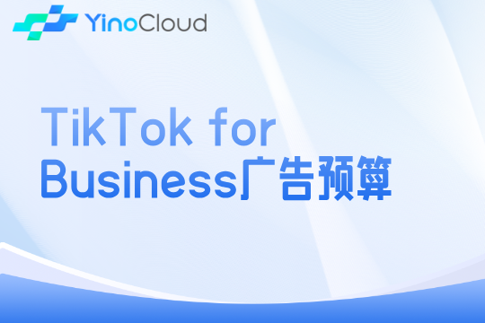 TikTok for Business广告预算