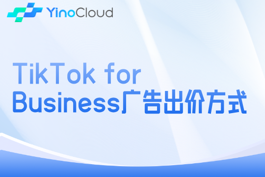 TikTok for Business广告出价方式